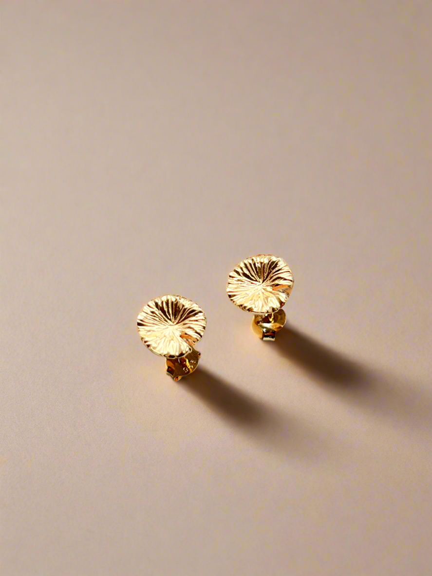 Pair of gold earrings on a beige background