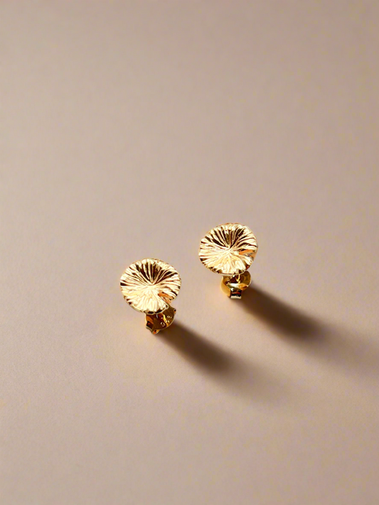 Pair of gold earrings on a beige background