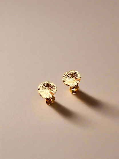 Pair of gold earrings on a beige background