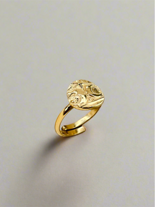 Gold Vermeil Adjustable Warrior Coin Ring