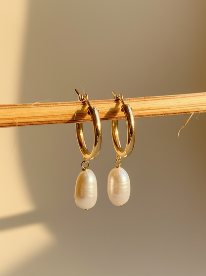 Timeless Gold Hoop & Freshwater Pearl Earrings - Myleti Jewellery